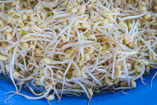 绿豆发芽实验步骤