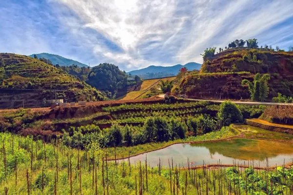 鬼迷日眼的是什么意思