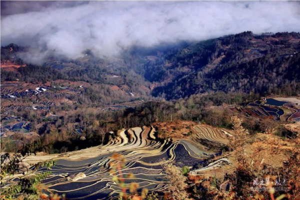 鬼迷日眼的是什么意思