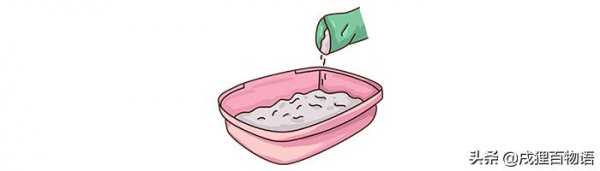 没有猫砂怎么办可以用什么代替