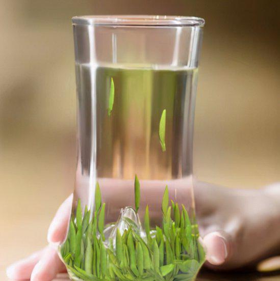 四川茶叶品牌排行榜