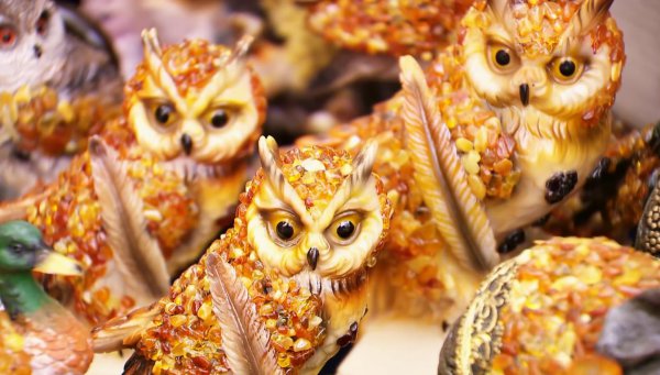 加里宁格勒州的军事实力