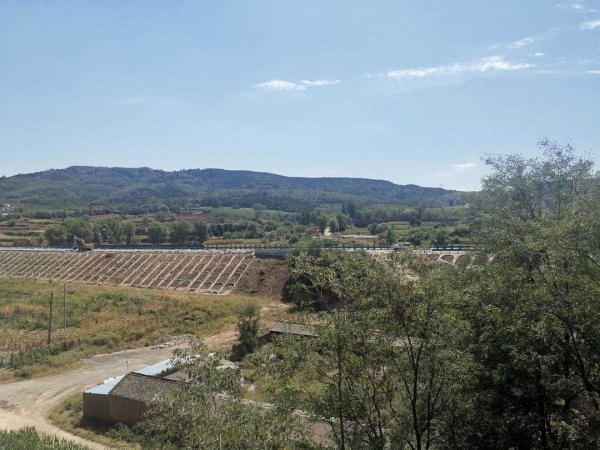 空杯心态是什么意思