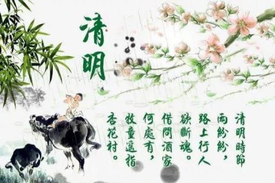 坟上长树好不好有什么影响 适合在墓地边种植的树木