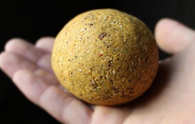 黑坑钓鲤鱼用什么饵料最好 黑坑用什么饵料钓鲤鱼最好用