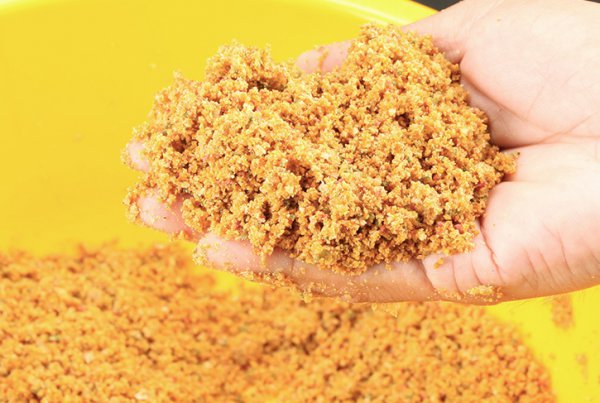 黑坑钓鲤鱼用什么饵料最好