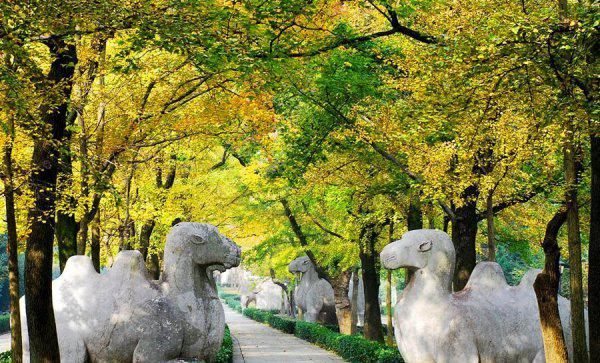 朱元璋朱棣哪位更厉害