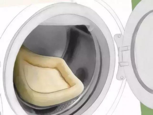 家里放一物绝对没跳蚤