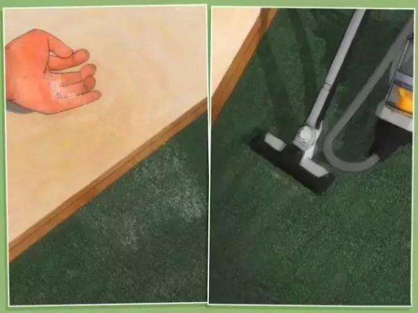 家里放一物绝对没跳蚤