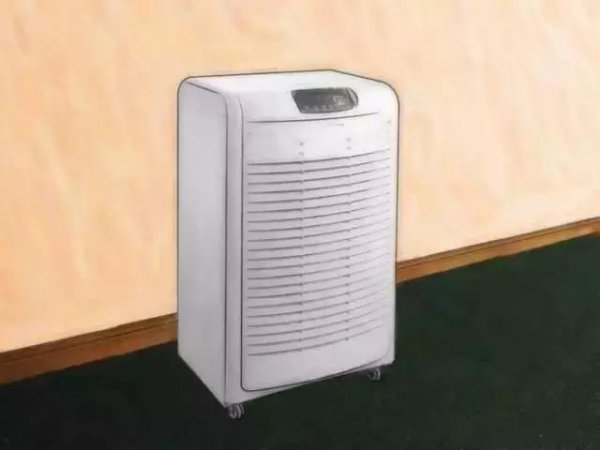 家里放一物绝对没跳蚤