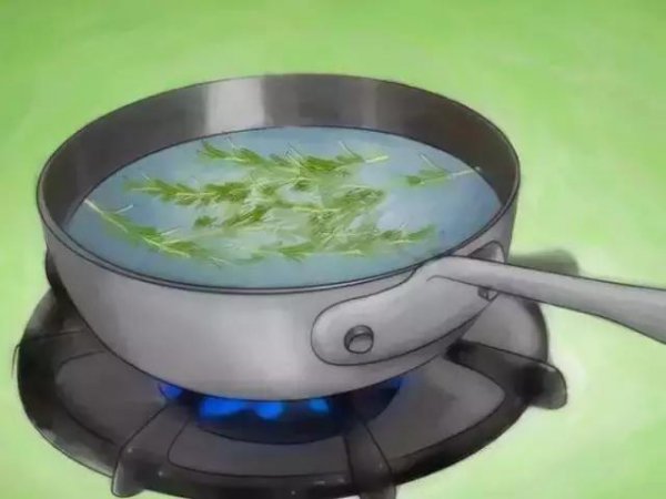 家里放一物绝对没跳蚤