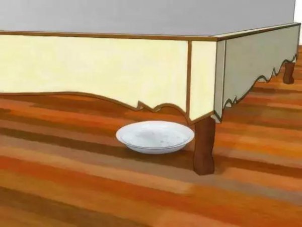 家里放一物绝对没跳蚤