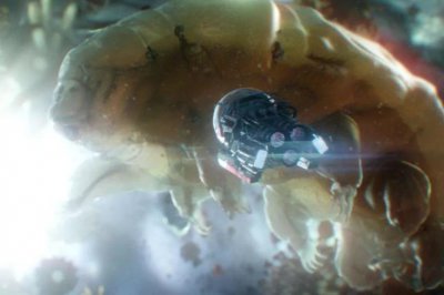 水熊虫寿命是多少年 为什么水熊虫的生命力如此顽强