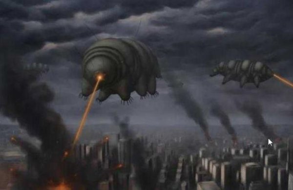 水熊虫寿命是多少年