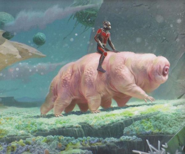 水熊虫寿命是多少年