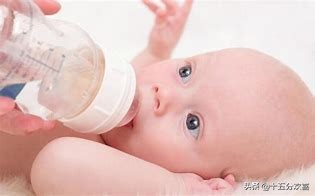 国产羊奶粉十大排行榜10强