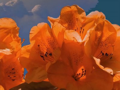 巨蟹座女的致命弱点 巨蟹座女生的性格特点及软肋