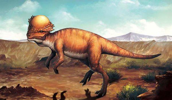 棘龙和霸王龙哪个厉害