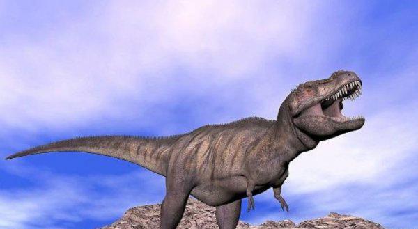 棘龙和霸王龙哪个厉害