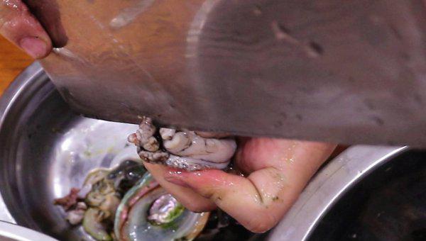 鲍鱼头数是什么意思