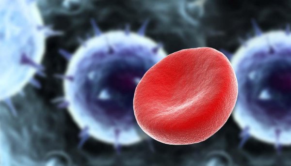 世界十大瘟疫分别为