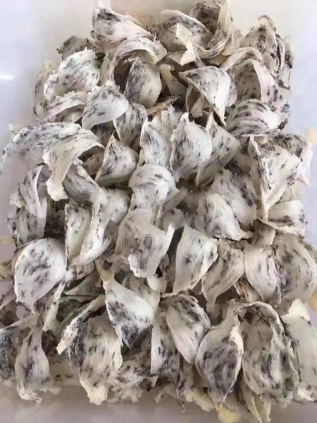 燕窝是什么东西怎么形成的