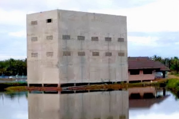 燕窝是什么东西怎么形成的