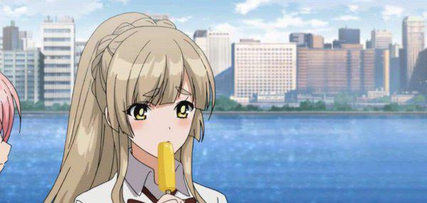 动漫番剧是什么意思