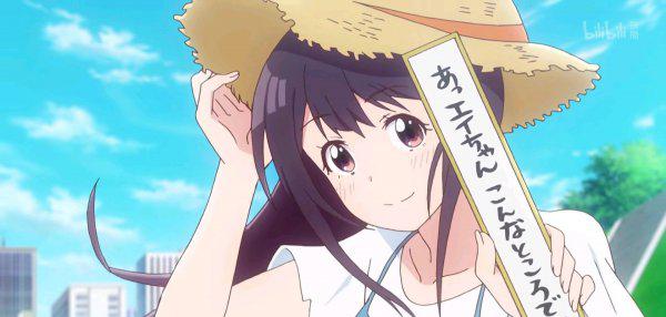 动漫番剧是什么意思