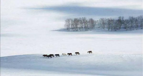 历史上流放是什么意思
