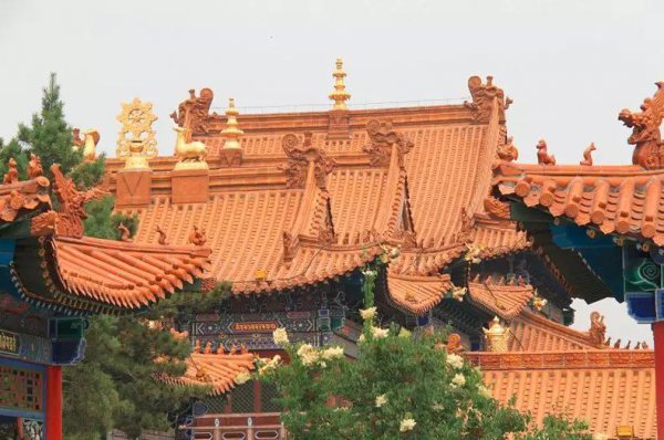 保家仙和出马仙的区别