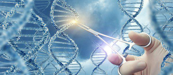 基因突变的结果