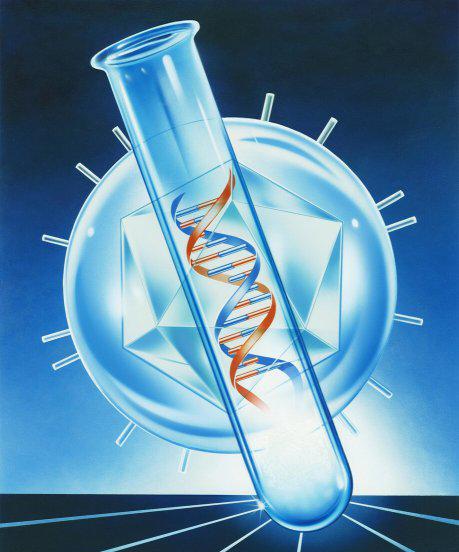 基因突变的结果