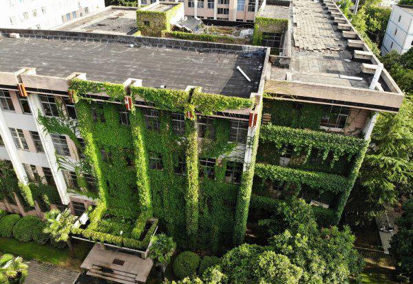 浙江农林大学什么档次