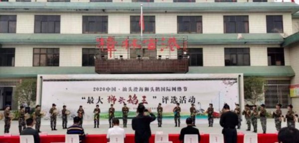 狮头鹅为什么那么贵