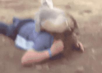 狮头鹅为什么那么贵