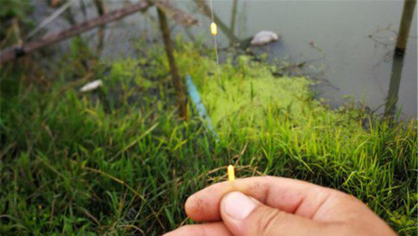 七星漂正确的调漂方法