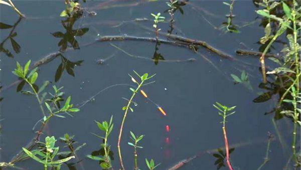 七星漂正确的调漂方法