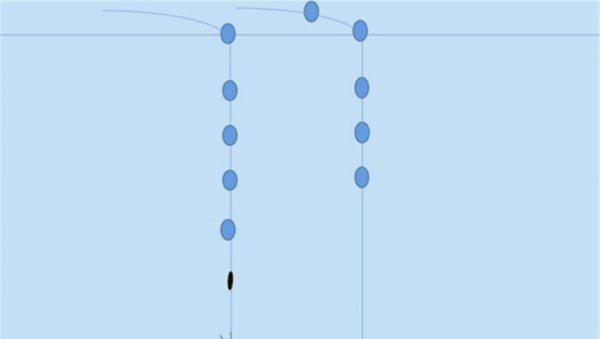 七星漂正确的调漂方法