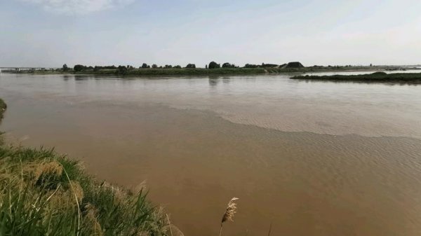 长江经过哪几个省