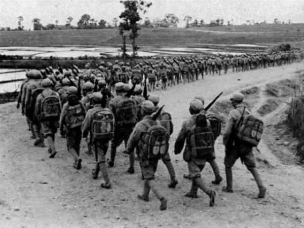 青树坪战役真实伤亡数据