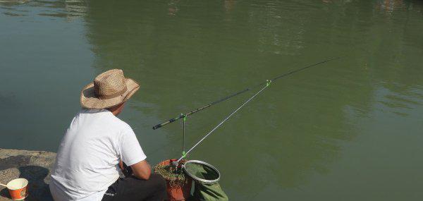 春天钓鱼什么时候最佳