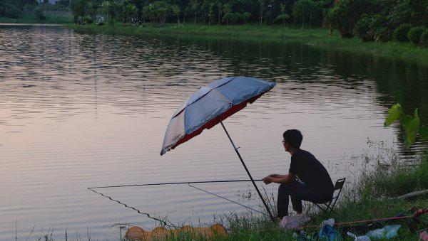 春天钓鱼什么时候最佳