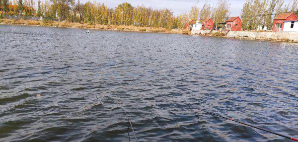 春天钓鱼什么时候最佳