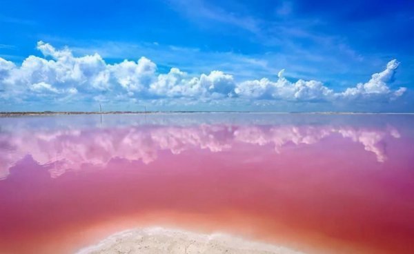 什么颜色加什么颜色等于粉色