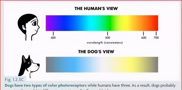 什么颜色加什么颜色等于粉色