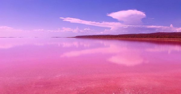 什么颜色加什么颜色等于粉色