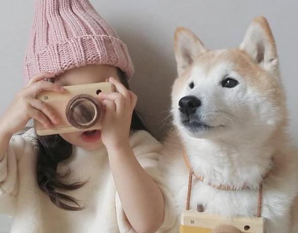 什么宠物好养又干净