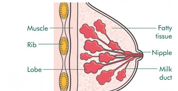 跑步最容易瘦哪里