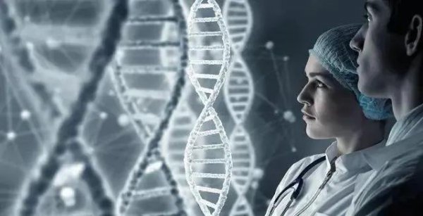 生物技术学什么课程内容